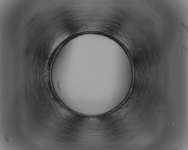 X0000091511119200709070947