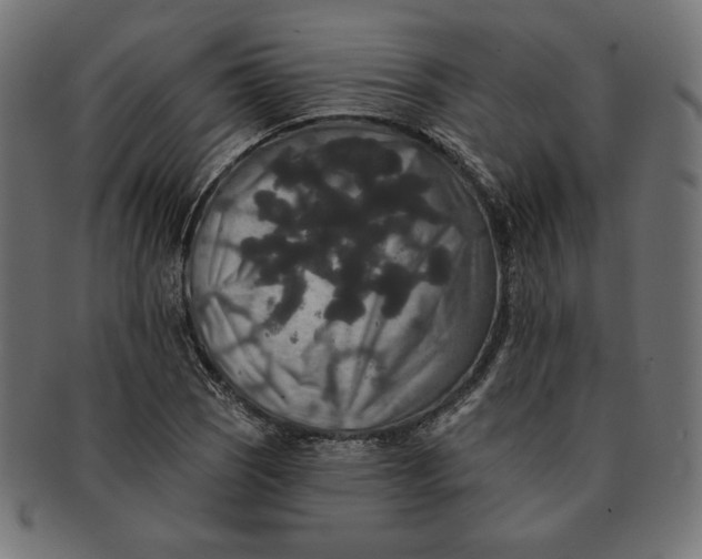 X0000091511121200709070947