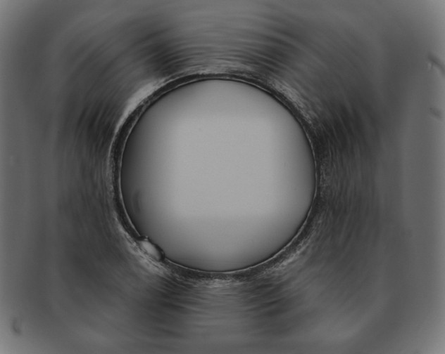 X0000091511122200709070947