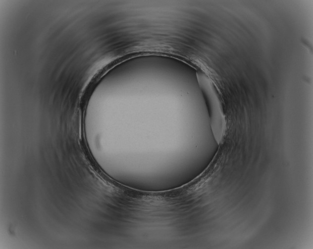 X0000091511123200709070947