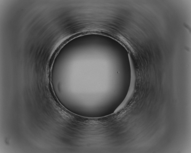 X0000091511124200709070947