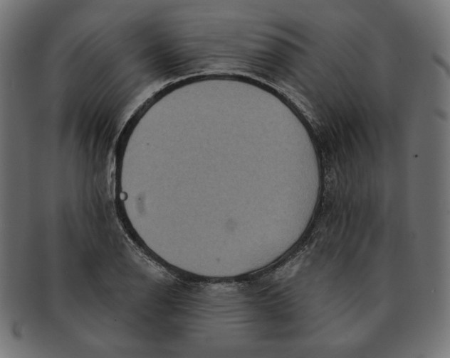 X0000091511126200709070947