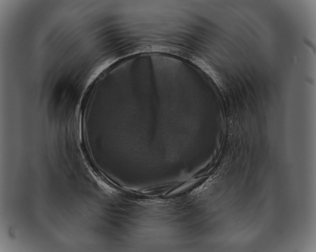 X0000091511127200709070947