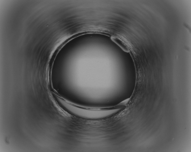 X0000091511128200709070947