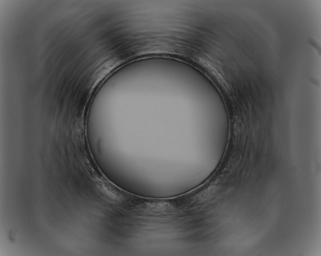 X0000091511129200709070947