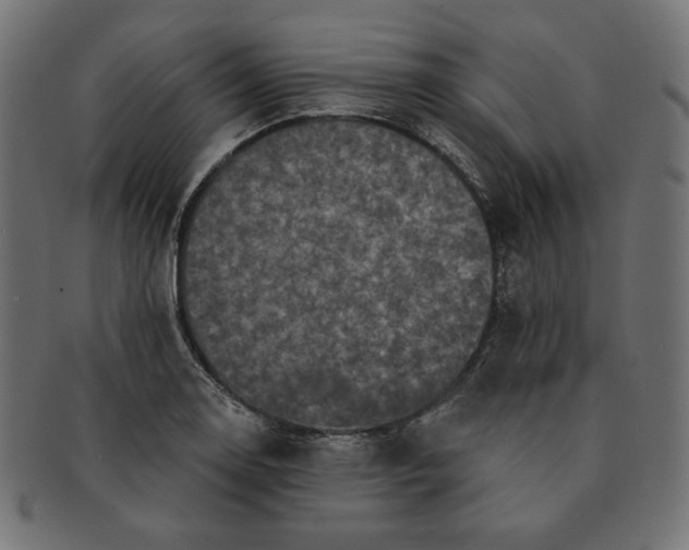 X0000091511130200709070947