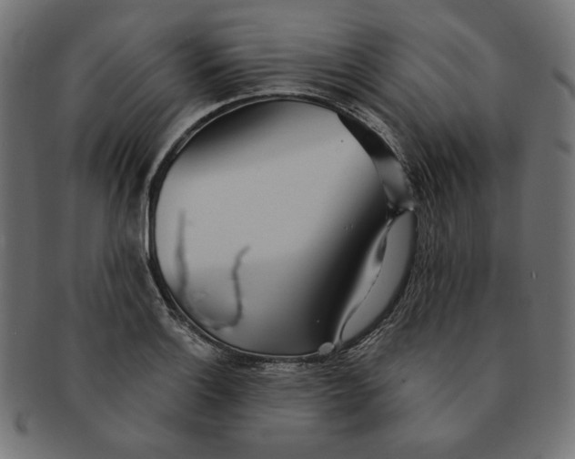 X0000091511132200709070947