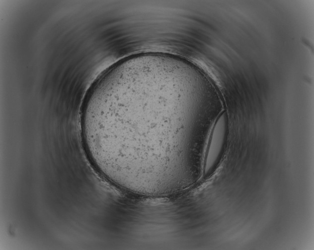 X0000091511133200709070947