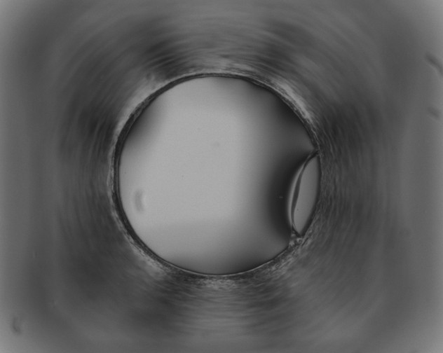 X0000091511136200709070947