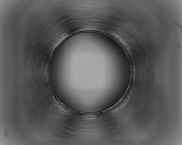 X0000091511137200709070947