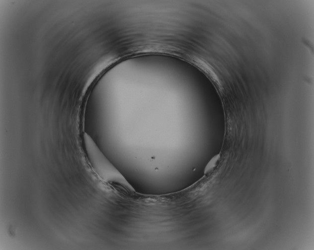 X0000091511138200709070947