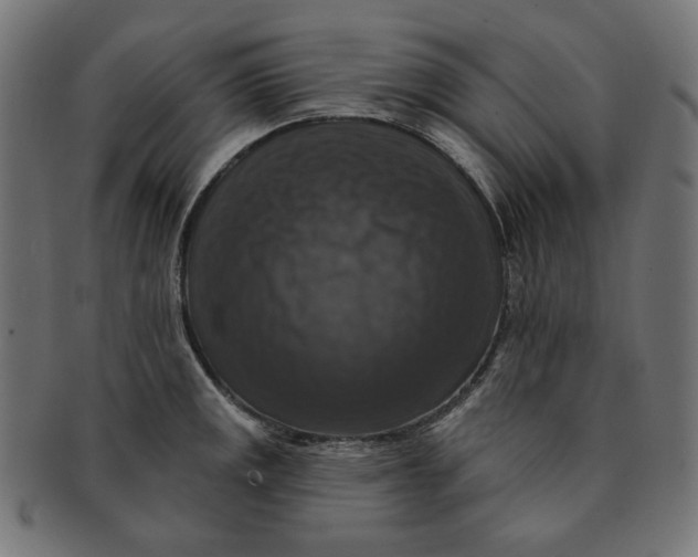 X0000091511141200709070947