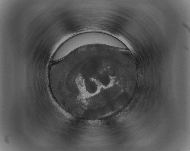 X0000091511142200709070947