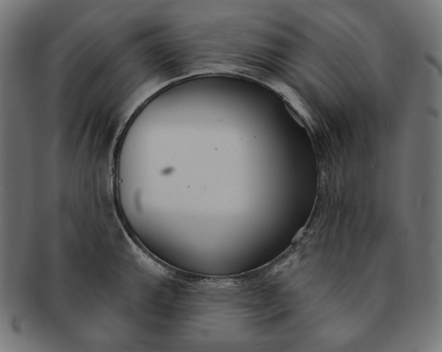 X0000091511143200709070947