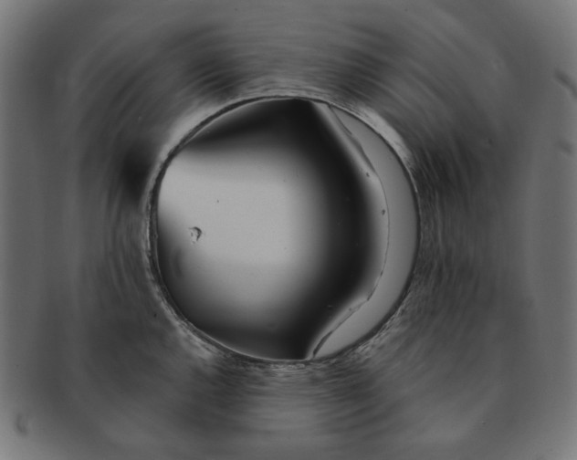 X0000091511144200709070947