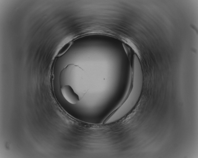 X0000091511146200709070947