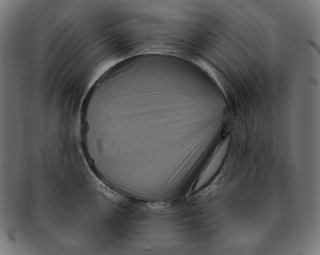 X0000091511147200709070947