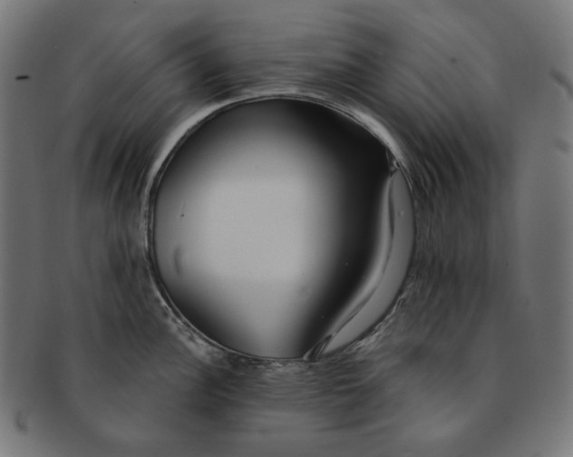 X0000091511148200709070947