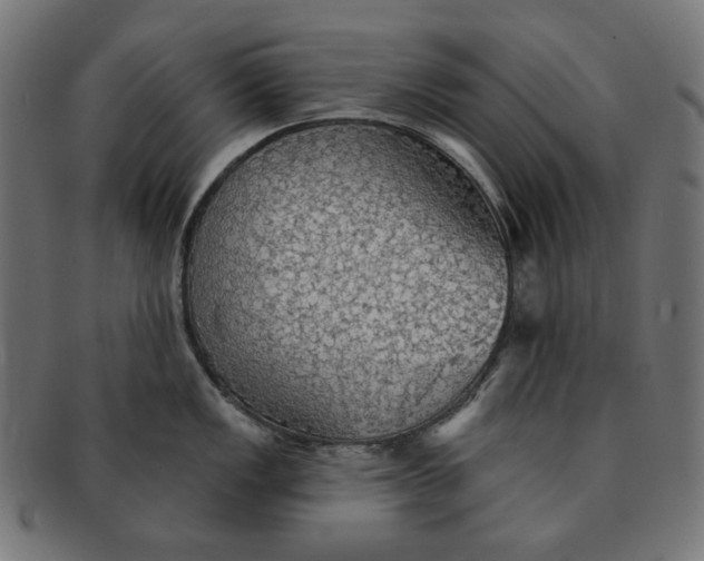 X0000091511149200709070947