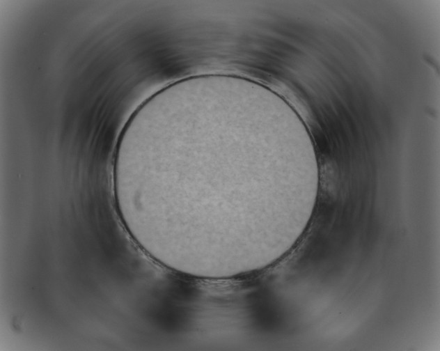 X0000091511150200709070947