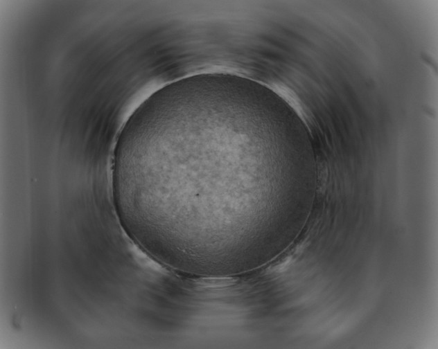 X0000091511151200709070947