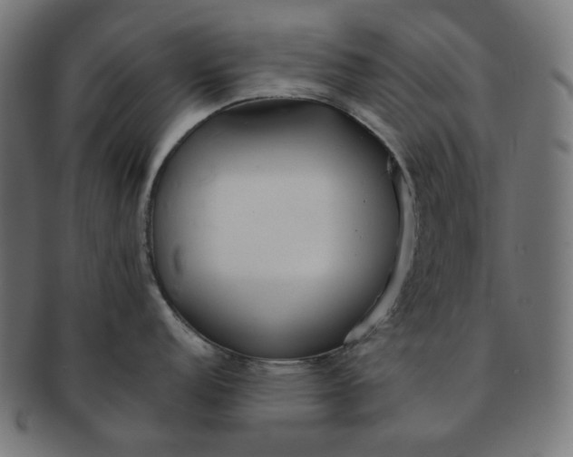 X0000091511152200709070947