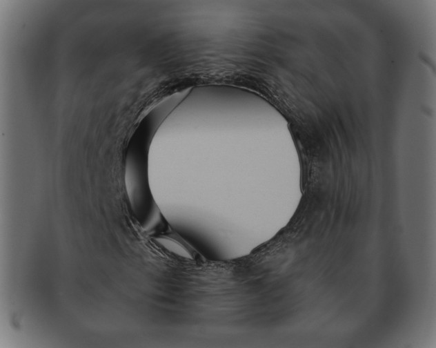 X0000091511153200709070946