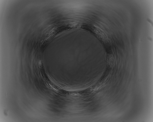 X0000091511154200709070946