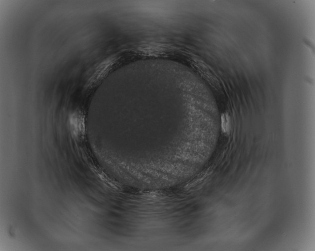 X0000091511155200709070946