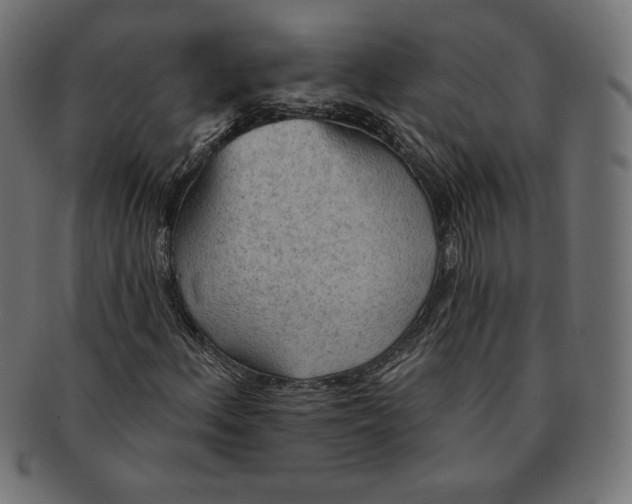 X0000091511156200709070946