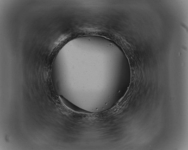 X0000091511157200709070946