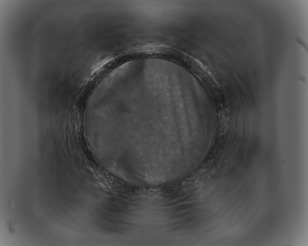 X0000091511158200709070946