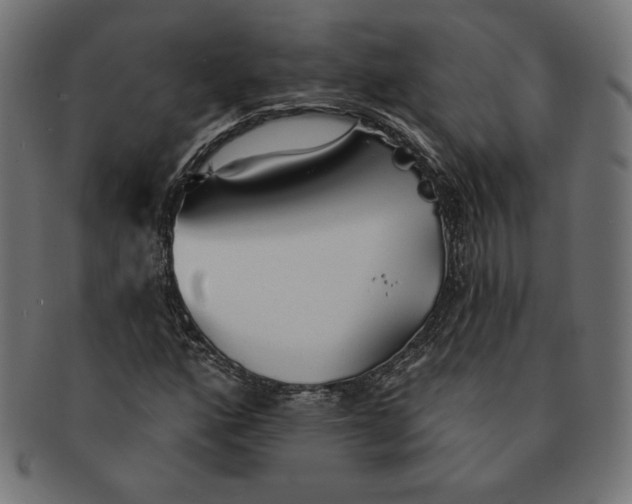 X0000091511160200709070946