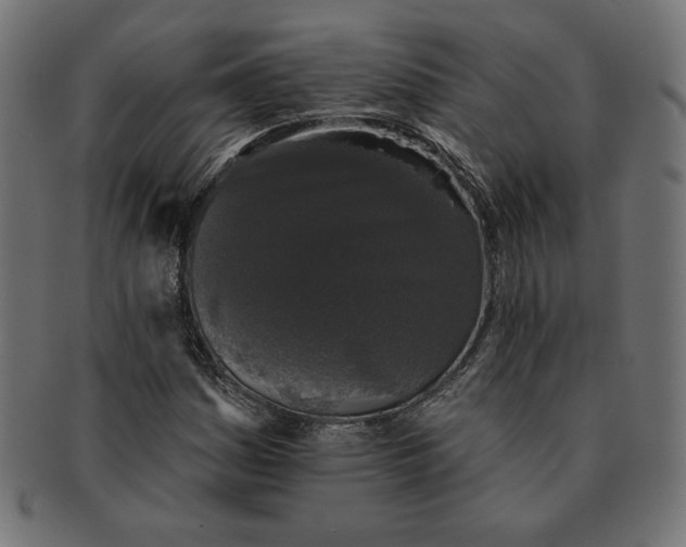 X0000091511161200709070946