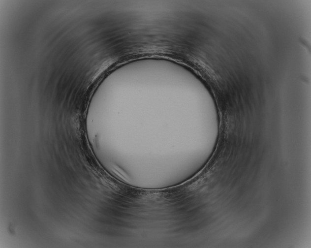 X0000091511162200709070946