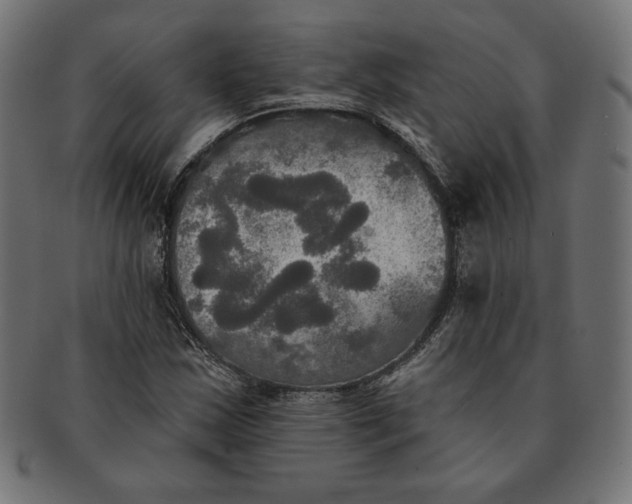 X0000091511163200709070946