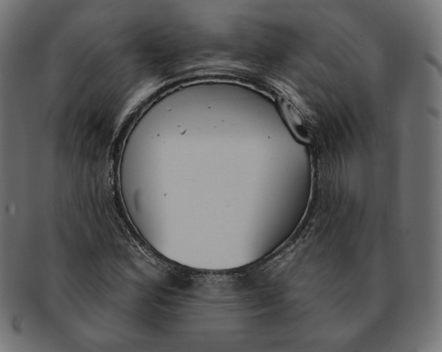 X0000091511164200709070946