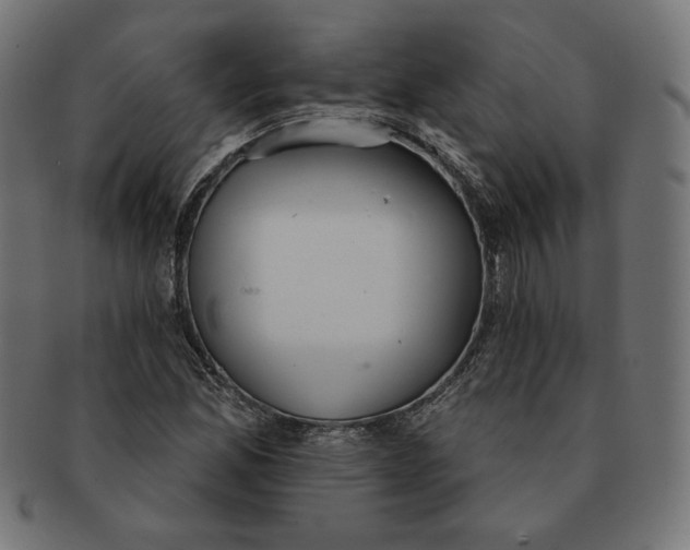 X0000091511165200709070946