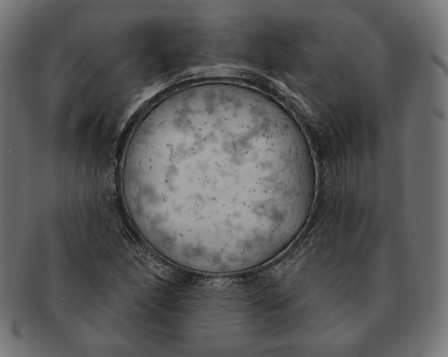 X0000091511166200709070946