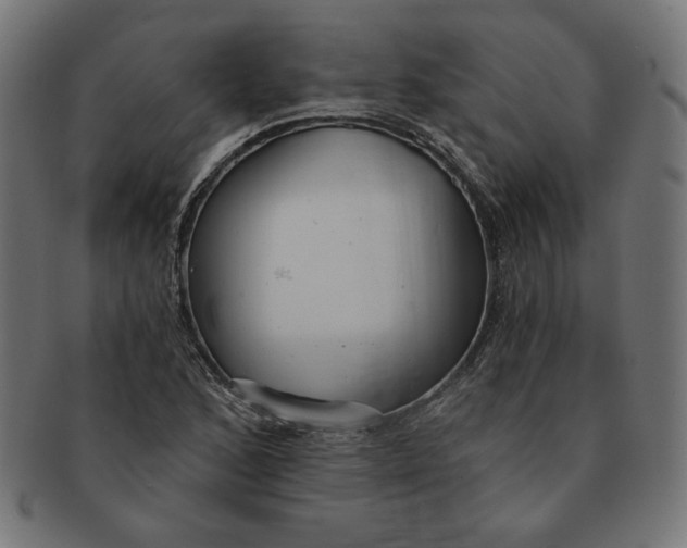 X0000091511168200709070946