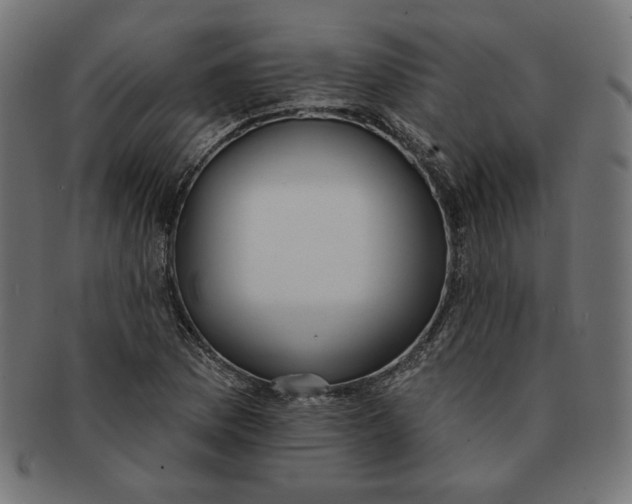 X0000091511169200709070946