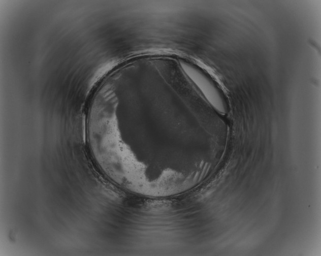 X0000091511171200709070946