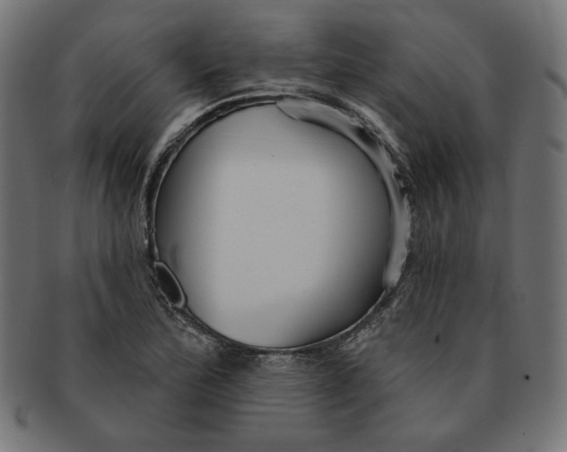 X0000091511172200709070946