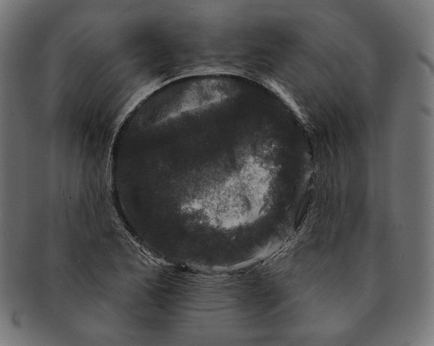 X0000091511173200709070946