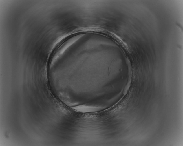 X0000091511174200709070946