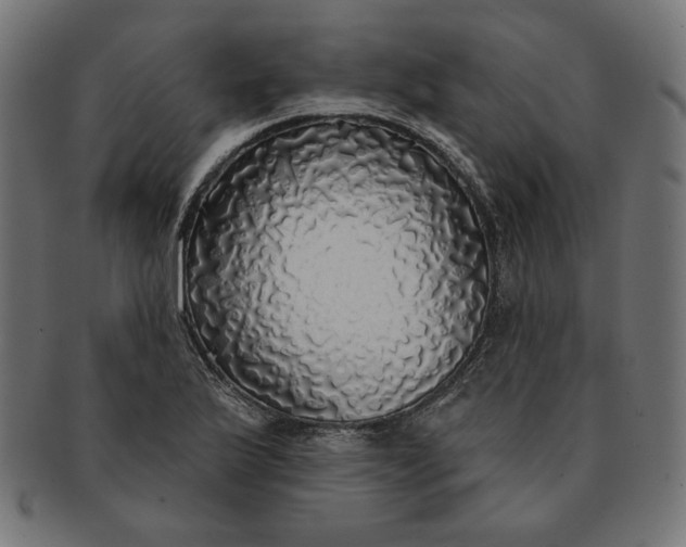 X0000091511175200709070946