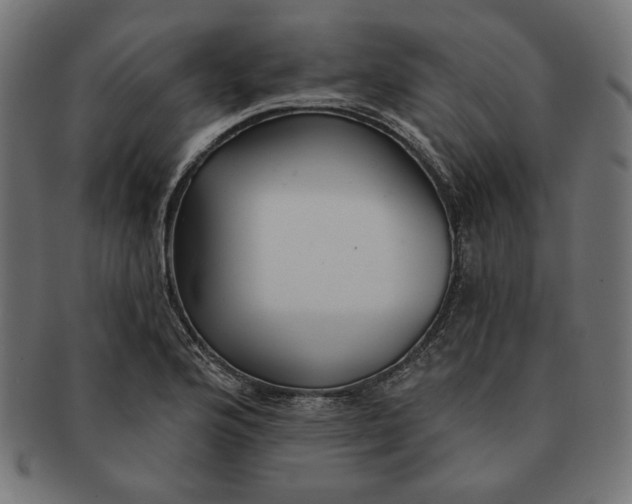 X0000091511176200709070946