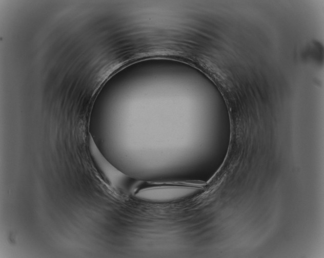 X0000091511177200709070946