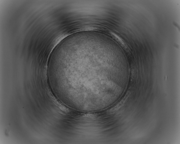 X0000091511178200709070946