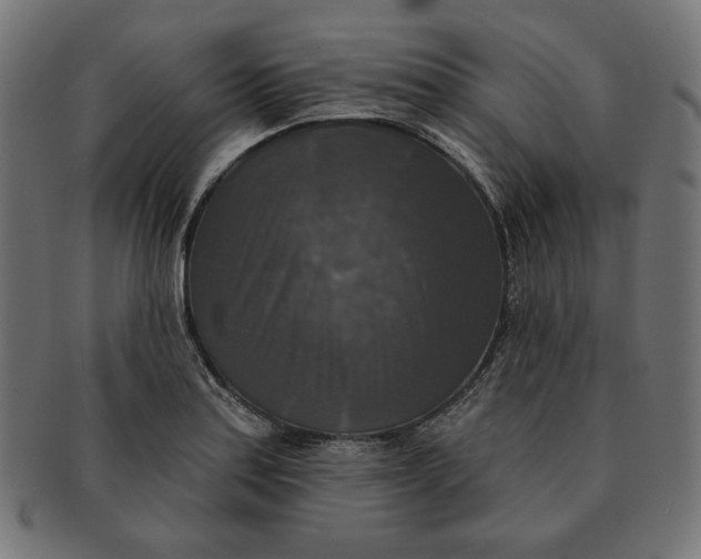 X0000091511179200709070946